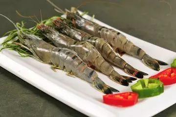 大虾养殖爆料方法视频讲解,视频讲解爆料养殖技巧与要点